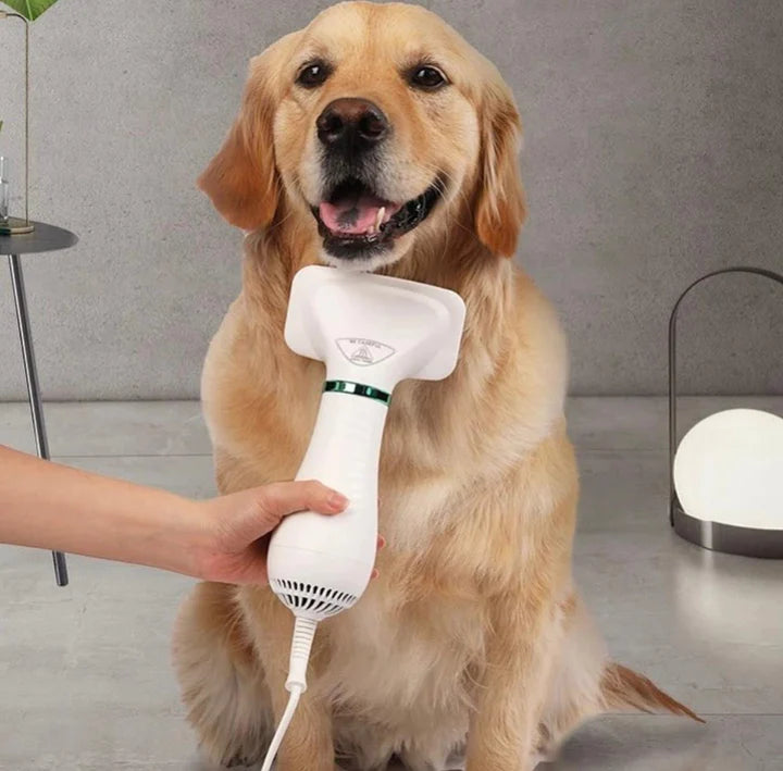 4_d6c43243-228e-4dcc-9e6f-f394f2b99652