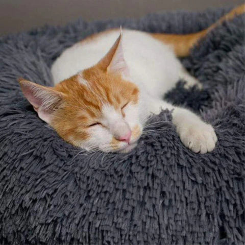 7_9a44799f-21f0-4c7f-8d19-1732e2804df3